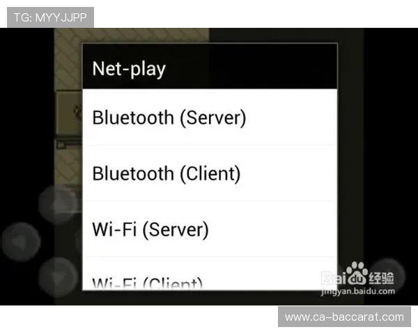 如何在PLA模拟器中导入和运行游戏的详细步骤指南